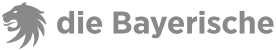die Bayerische Logo